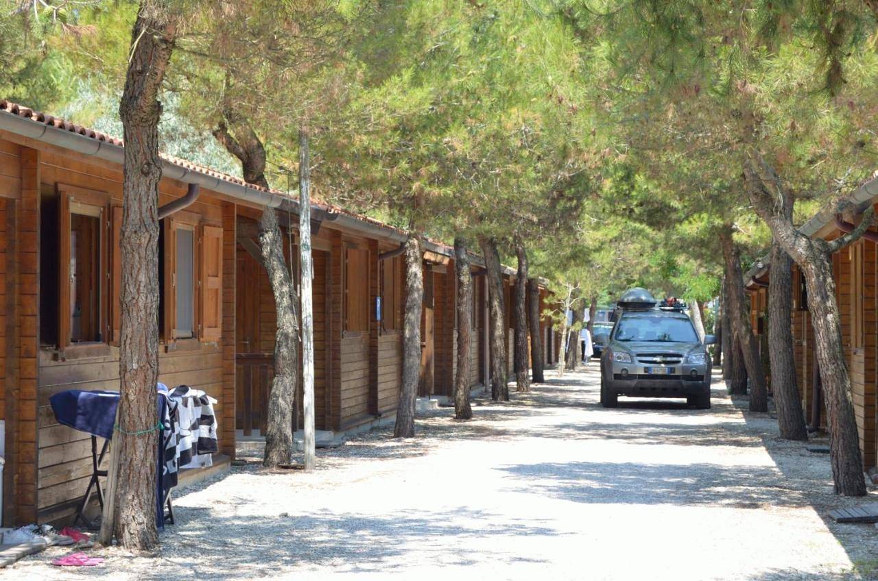 Camping La Pineta in Costa Adriatica Marche