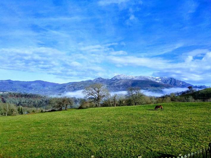 Casa rural para 8 personas, con jardín y vistas en Piloña - 4