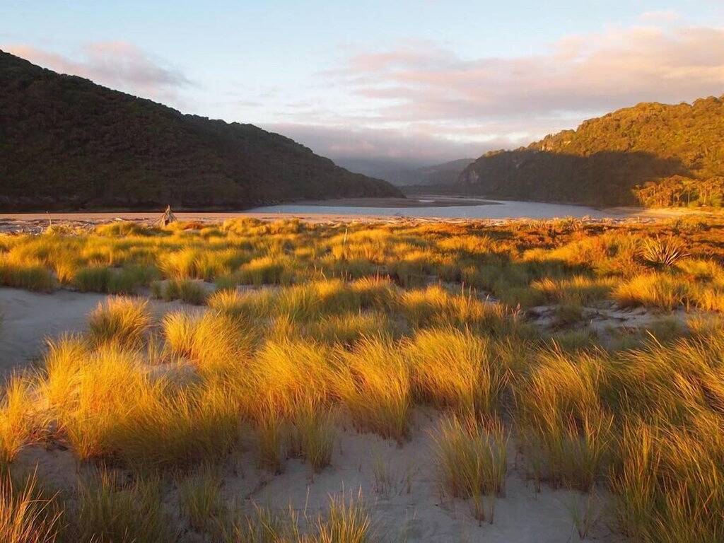 Sanftes Annies spektakuläres Rimu-Haus in West Coast (Neuseeland)