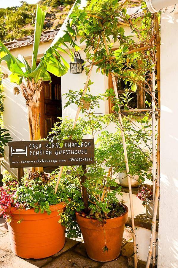 Casa rural para 3 personas, con vistas y jardín en Santa Cruz de Tenerife - 4