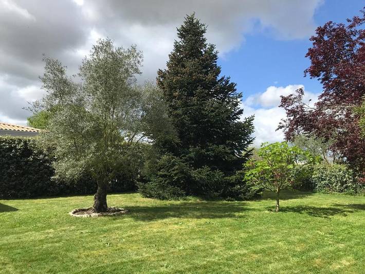 Location de vacances pour 4 personnes, avec terrasse et jardin à Corme-Royal - 2