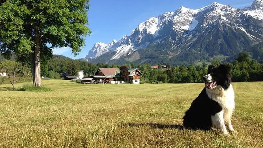 Bauernhof für 6 Personen, mit Garten in Ramsau am Dachstein - 3