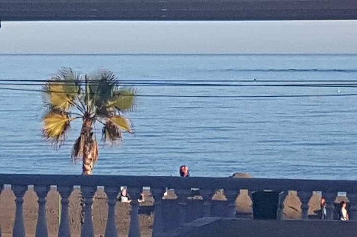 Ferielejlighed for 4 personer, med balkon - 1