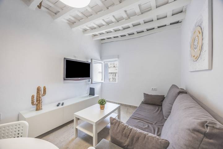 Ganze Wohnung, Apartment 'La Joyita Del Centro' mit Gemeinschaftsgarten und Wlan in Vejer de la Frontera, Costa de la Luz