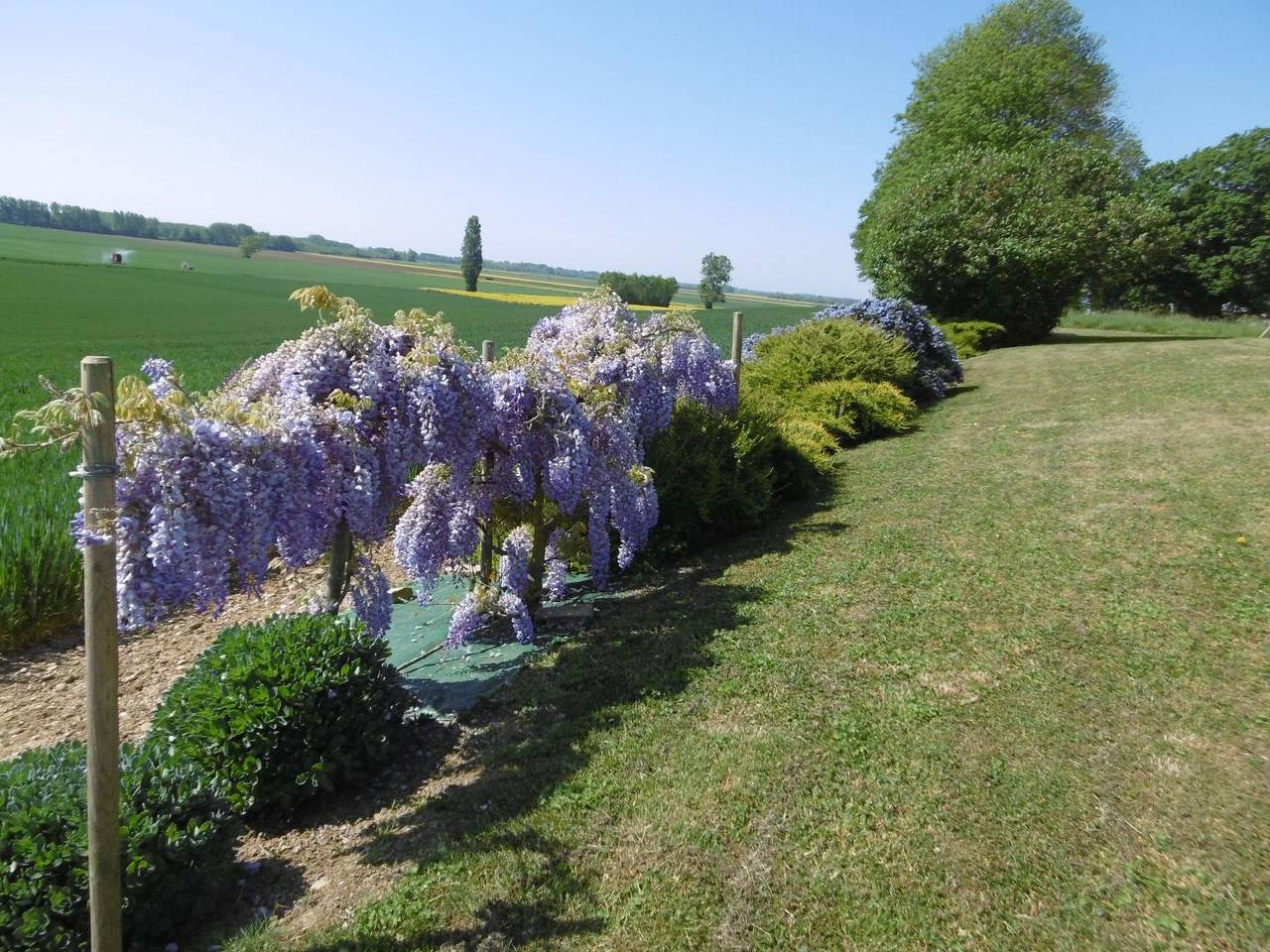 Domaine de la Crête in Pourlans, Louhans region