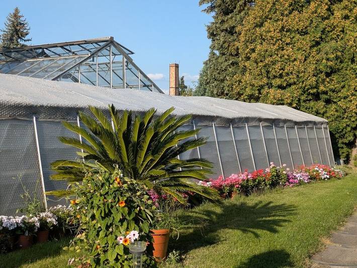 Ferienhaus für 6 Personen, mit Balkon und Garten in Sächsisches Elbland - 2
