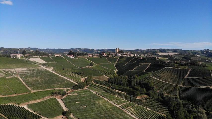 Gîte pour 6 personnes, avec vue et jardin, animaux acceptés à Serralunga d'Alba - 2