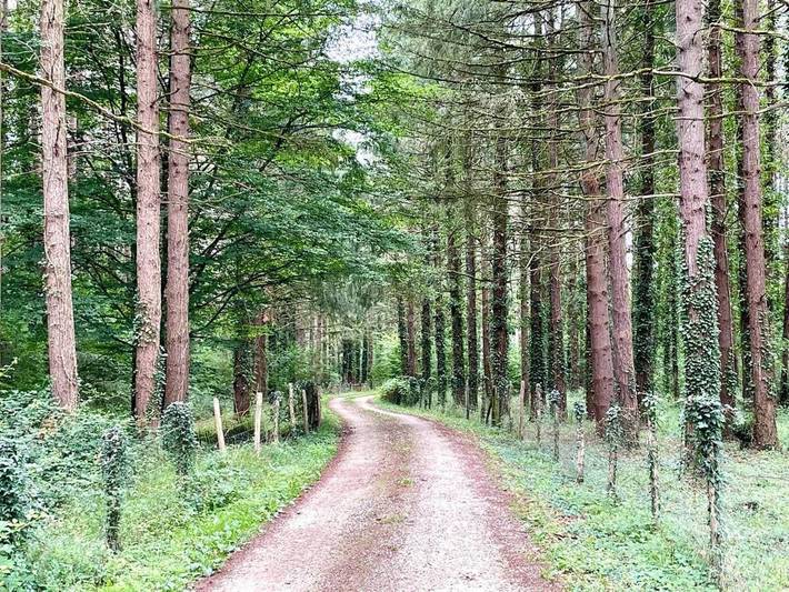 Location de vacances pour 8 personnes à Molineuf - 4