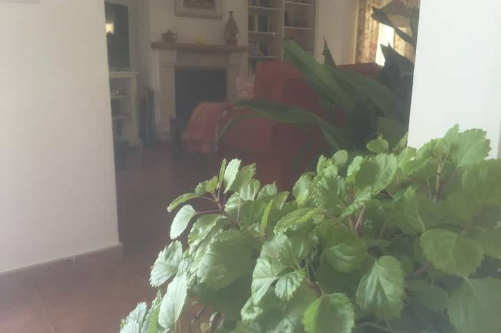 Maison jumelée à El Portil avec piscine privée, wifi gratuit, climatisation, barbecue in El Portil, Cartaya