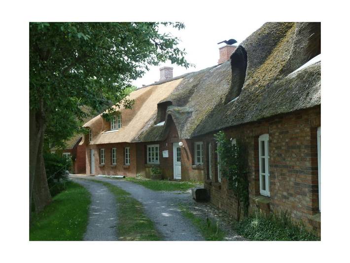 Ferienhaus für 4 Personen, mit Garten, mit Haustier in Pellworm - 4