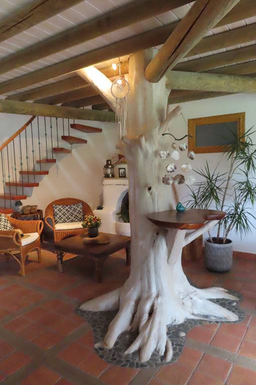 Chambre d’hôte pour 2 personnes, avec jardin, animaux acceptés dans le Finistère - 4