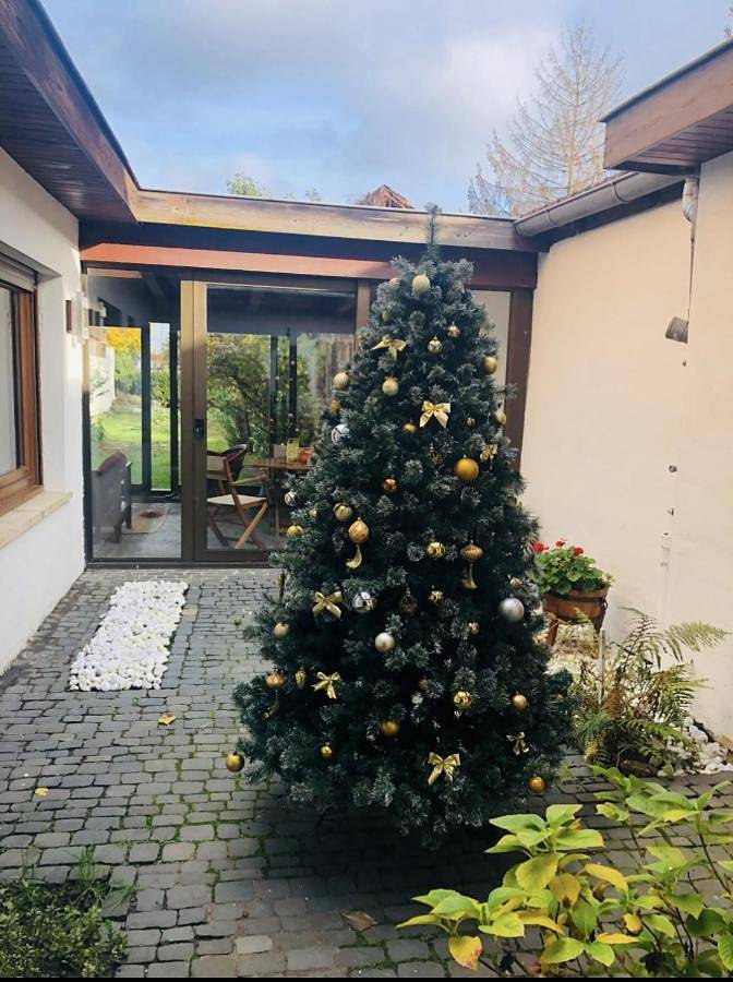 Maison d’hôte pour 2 personnes, avec jardin, animaux acceptés à Strasbourg - 4