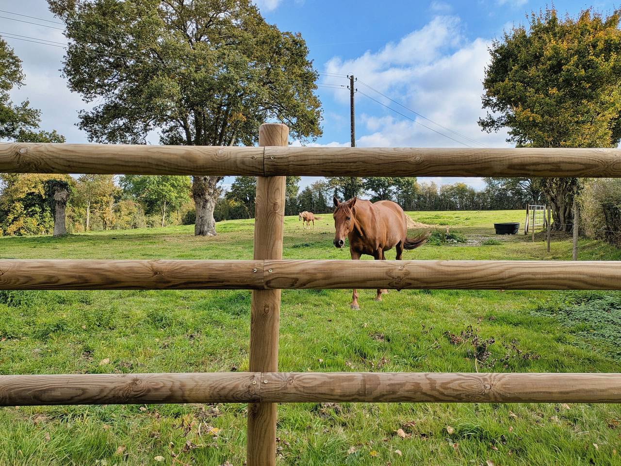 Appartement entier, Gîte rénové moderne avec jardin immense et wifi, idéal pour famille ou professionnels in Saint-Jean-sur-Mayenne, Mayenne