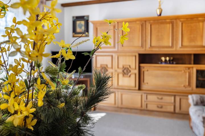 Ganze Wohnung, Ferienwohnung Regina" mit Gemeinschaftsgarten, Balkon und Wlan in Furtwangen ort, Furtwangen