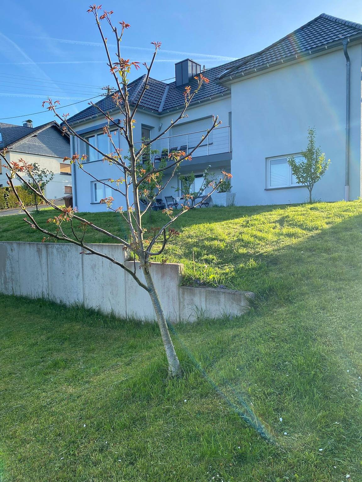 Ferienwohnung für 4 Personen in Birken-Honigsessen, Altenkirchen & Umgebung