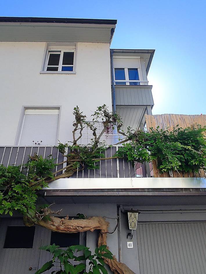 Ganze Ferienwohnung, Ferienwohnung Bär - Ferienwohnung, 75 qm, 2 Zimmer, Küche, Bad, Winterbalkon, 2 bis 4 Personen in Durbach, Mittlerer Schwarzwald
