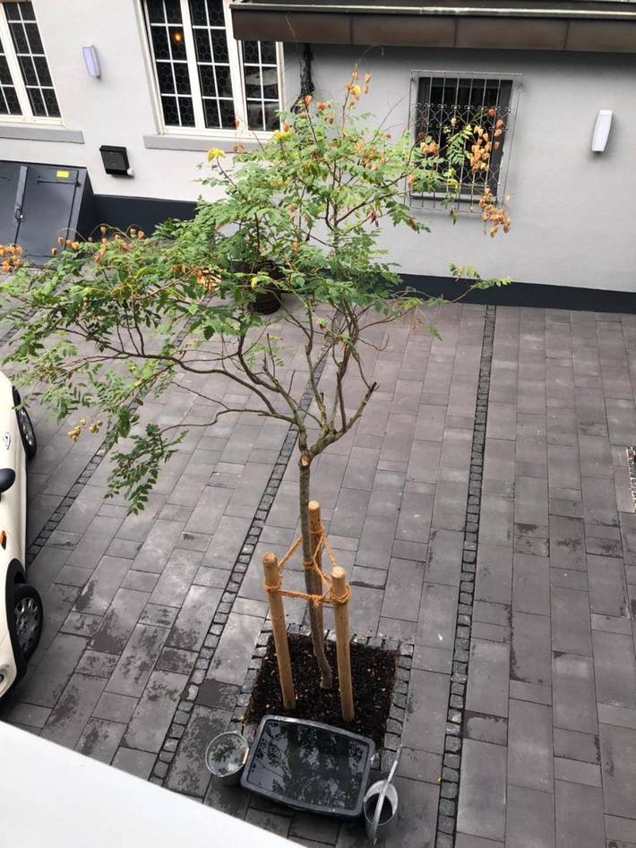 Gîte pour 2 personnes à Mayence - 4