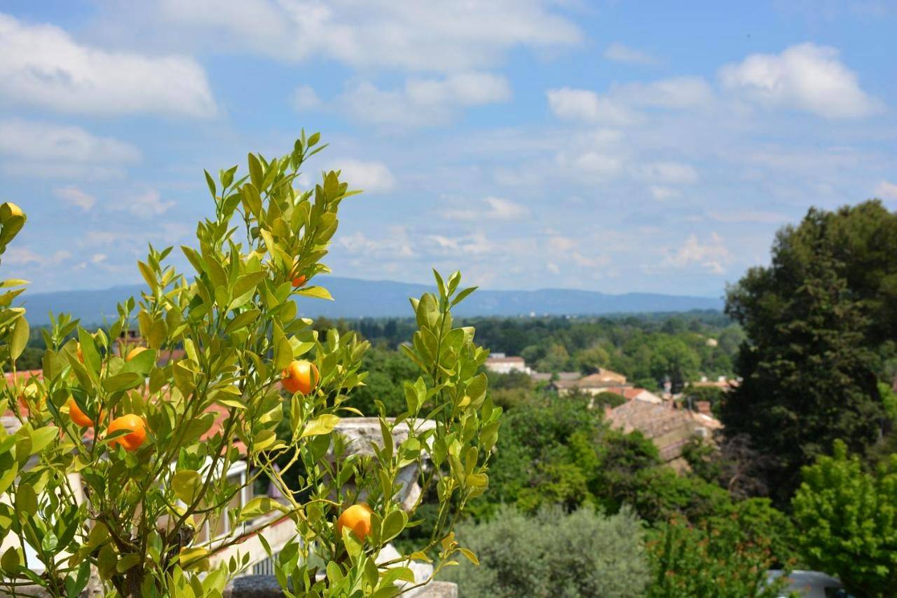 Le Petit Chateau in Châteauneuf-de-Gadagne, Vaucluse