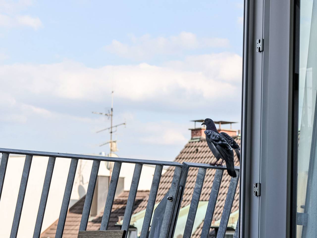 Apartamento entero, Munich Finest Apartments 17 in Munich Ludwigsvorstadt, Múnich