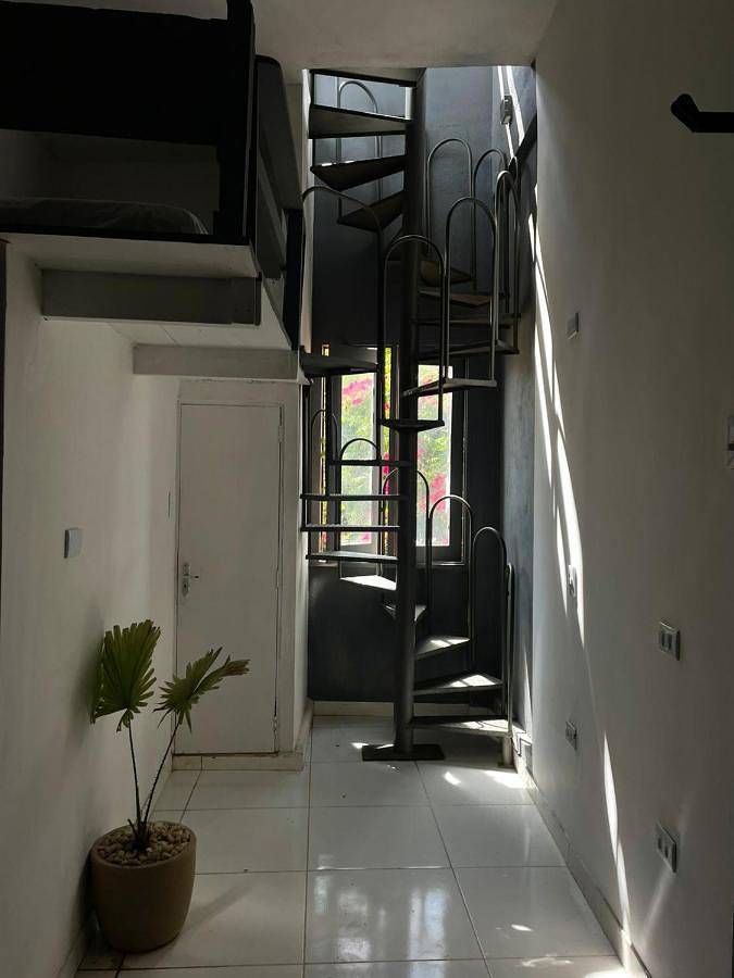 Gîte pour 4 personnes, avec terrasse et vue, animaux acceptés dans Jericoacoara - 4