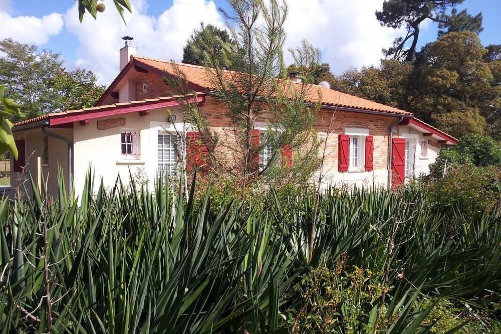Domaine Du Flamand - Gîte Junca  in Naujac-sur-Mer, Lesparre-Médoc region
