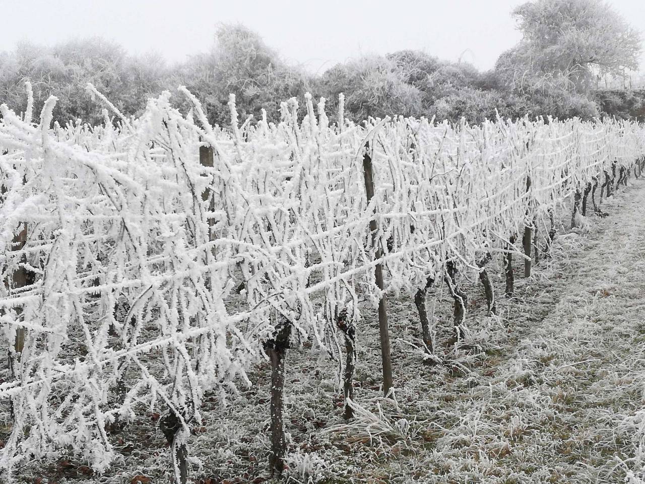 Ganze Ferienwohnung, Galerie Über den Gärten - Ferienwohnung Galerie Über den Gärten in Herbolzheim, Südschwarzwald