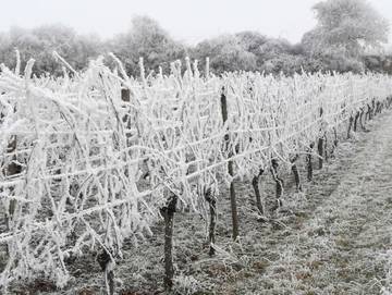 Ferienwohnung für 6 Personen in Herbolzheim, Hochschwarzwald, Bild 4