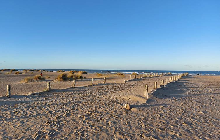 Maison de vacances pour 10 personnes, avec jardin, animaux acceptés dans Département Nord - 3