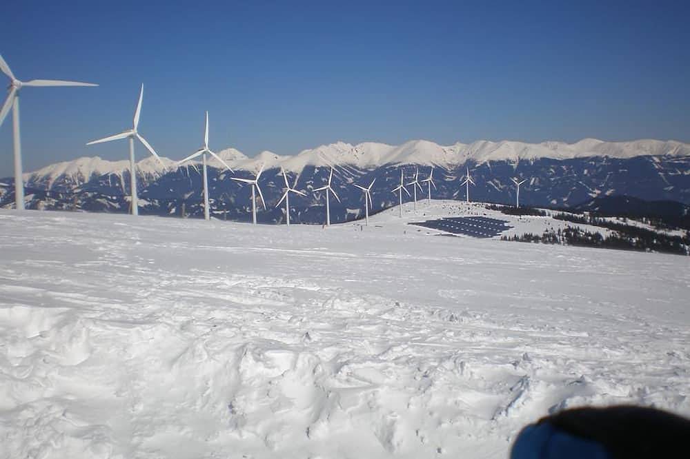 Almrauschhütte Markus - Hütte, Dusche und Bad, Wc, Bergseite in Rottenmanner und Wölzer Tauern, Oberwölz