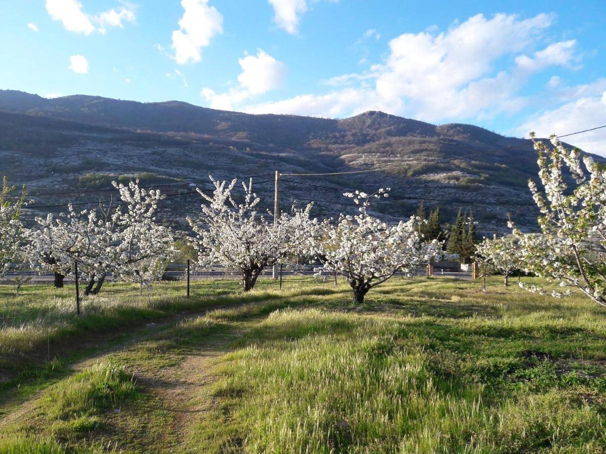 Apartamento entero, La casita del jerte in Cabezuela del Valle, Valle del Jerte