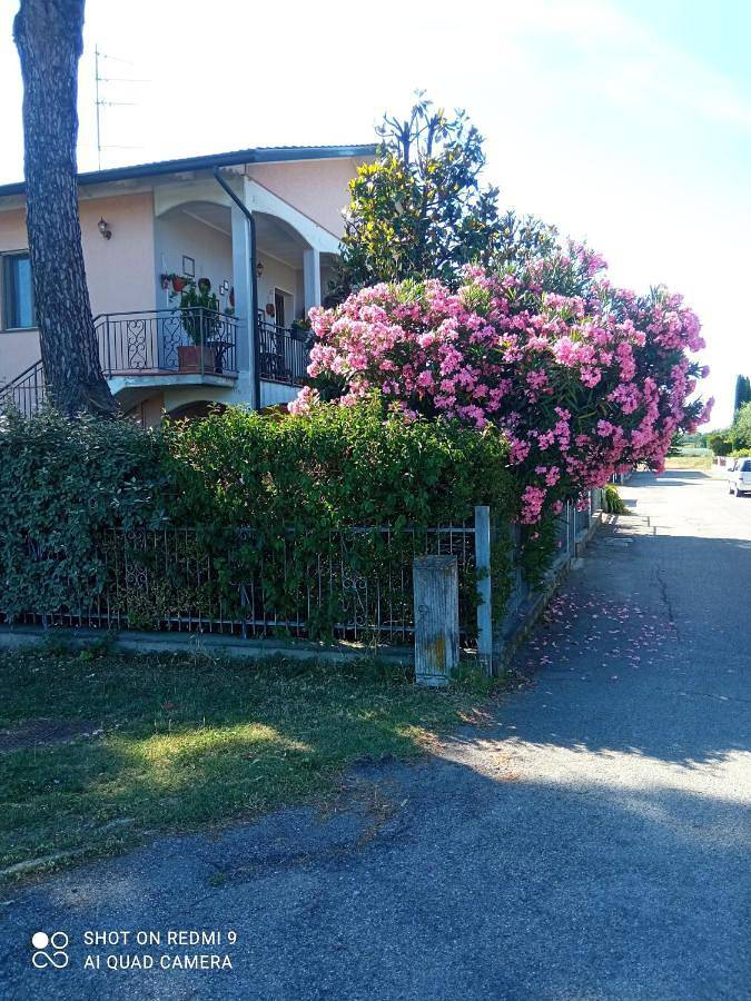 B&b per 3 persone, con terrazza e giardino, con animali domestici sulla Riviera Romagnola