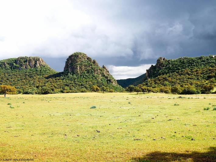 Casa rural para 20 personas, con vistas además de jardín y piscina, Se admiten mascotas en Adamuz