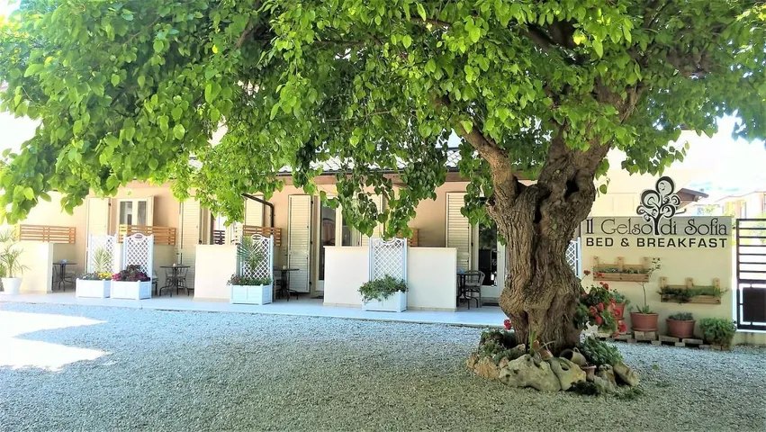 Bed and breakfast per 1 persone - 1