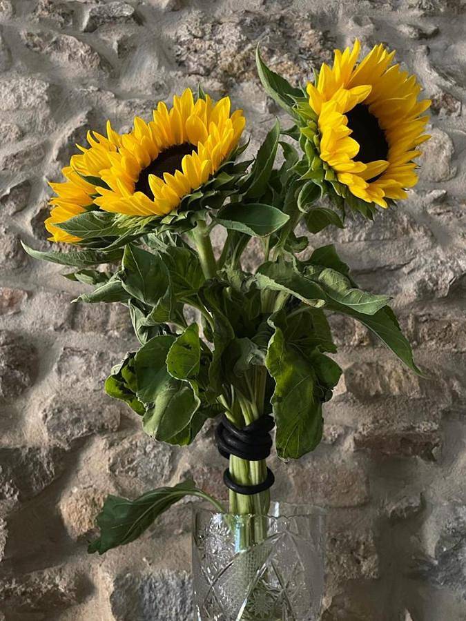 Chambre d’hôte pour 3 personnes, avec vue et balcon à Desenzano del Garda - 4