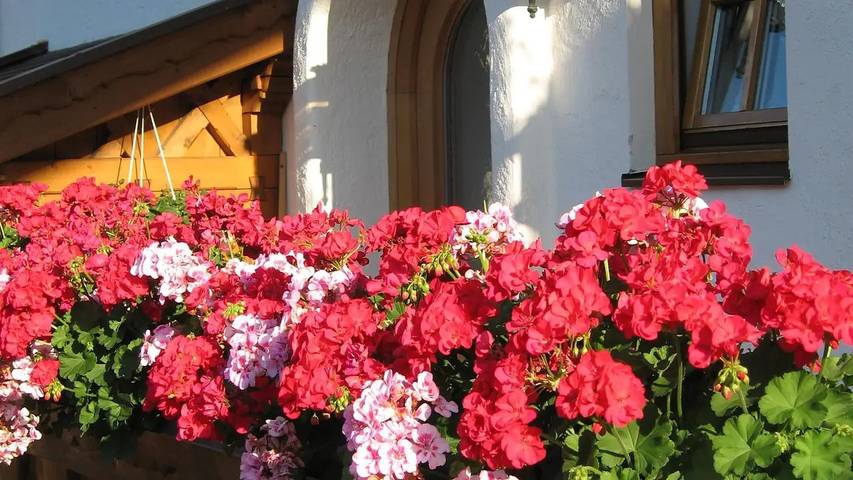 Ferienwohnung für 3 Personen, mit Balkon im Mittenwald - 2