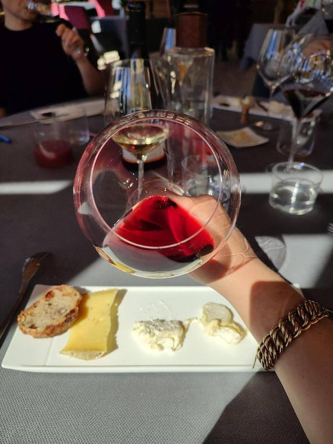 Location de vacances pour 12 personnes, avec terrasse à Demigny - 4