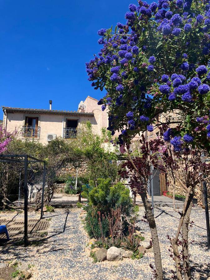 Location de vacances pour 3 personnes, avec jardin à Tuchan - 2