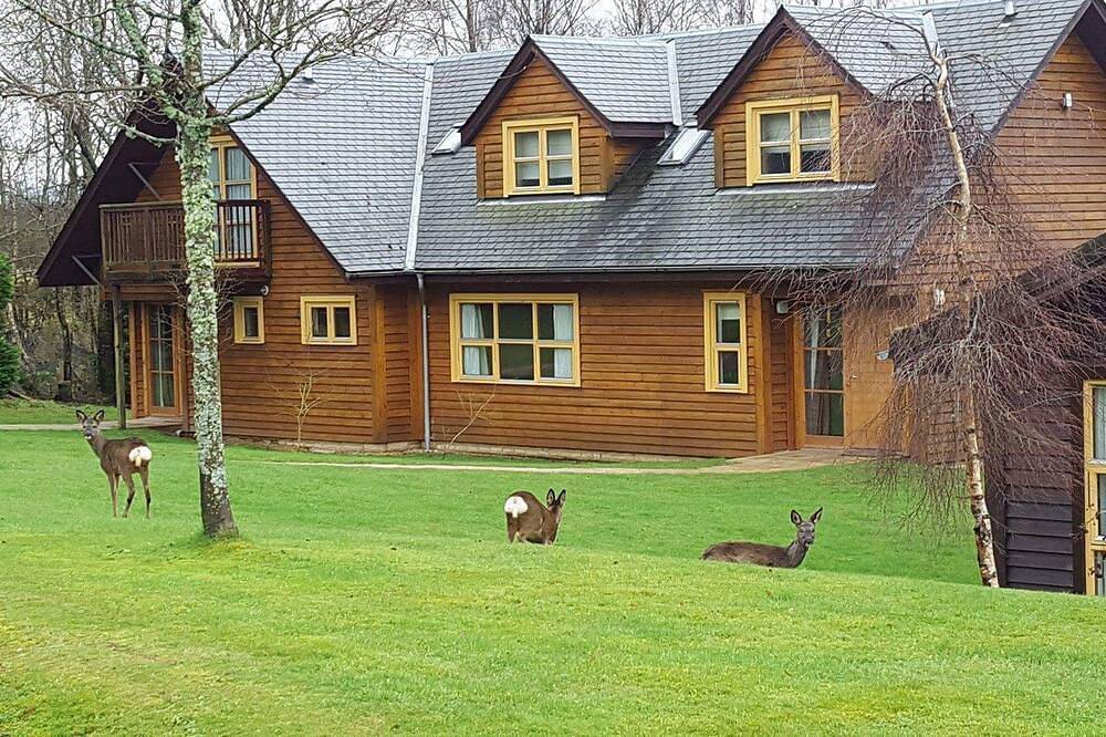 Culzean Diamond Lodge with hot tub and sauna in Loch Lomond, Stirling und Umgebung