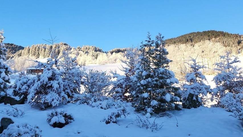 Ferienhaus für 4 Personen, mit Sauna und Garten sowie Pool in Ofterschwang - 4