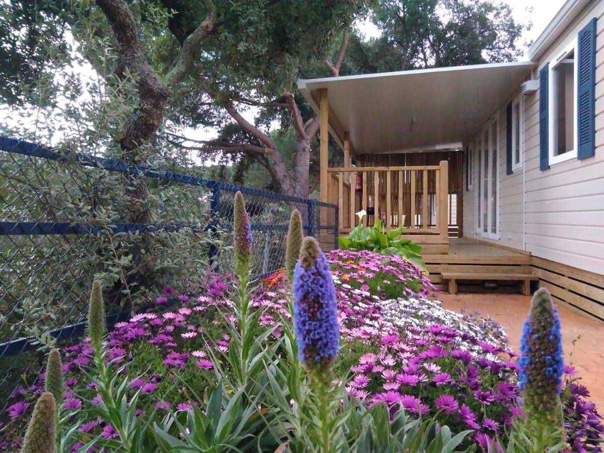 Camping Roca Grossa in Platja de la Cabra (Calella), Calella