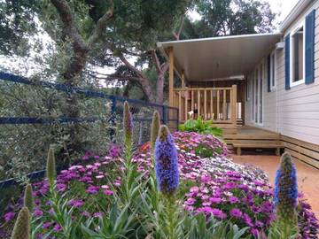 Gîte pour 2 personnes, avec jardin et vue ainsi que piscine et bassin pour enfant à Calella