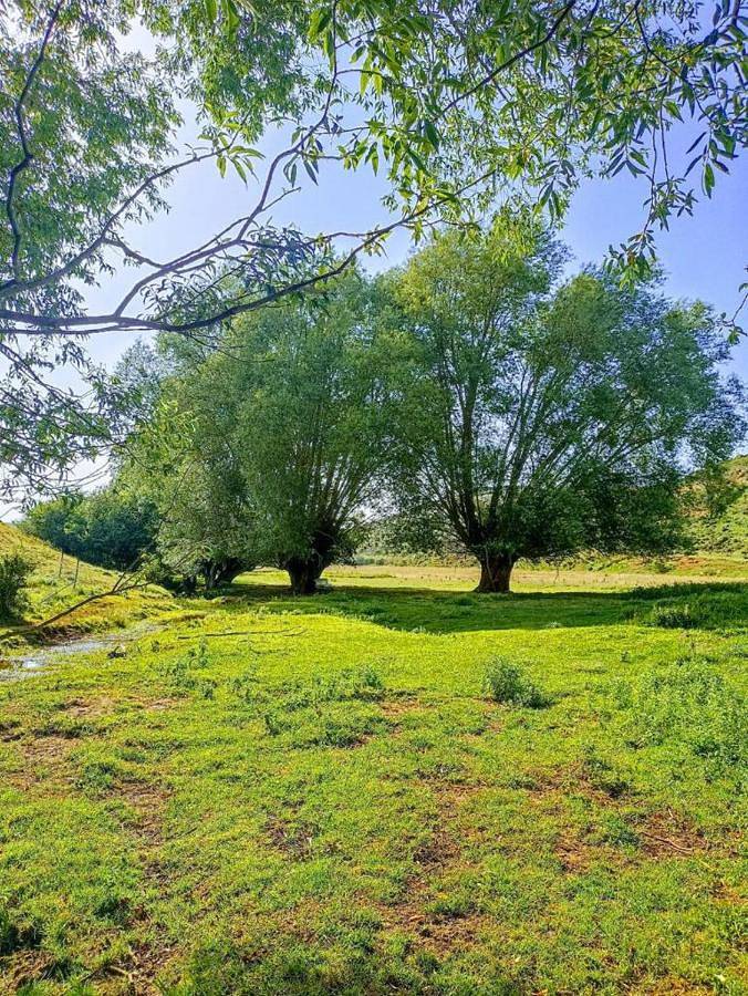 Apartamento de vacaciones para 4 personas, con balcón y jacuzzi en Maestrazgo - 3