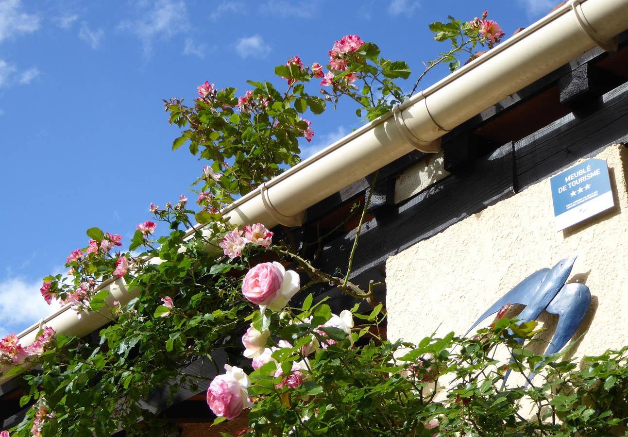L oiseau bleu in La Côte Vermeille, Argelès-sur-Mer