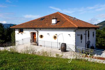 Casa rural para 23 personas, con vistas y jardín en Álava