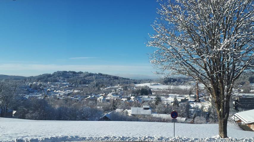 Ferienhaus für 4 Personen, mit Garten und Terrasse sowie Sauna, mit Haustier in Zwiesel - 4