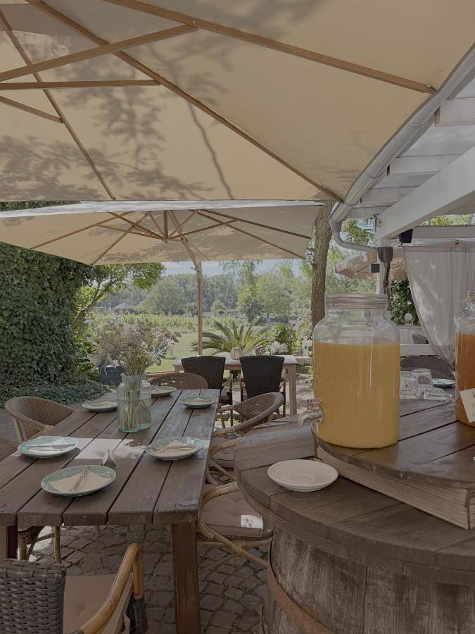 Location de vacances pour 2 personnes, avec vue et jardin à Oestrich-Winkel - 4