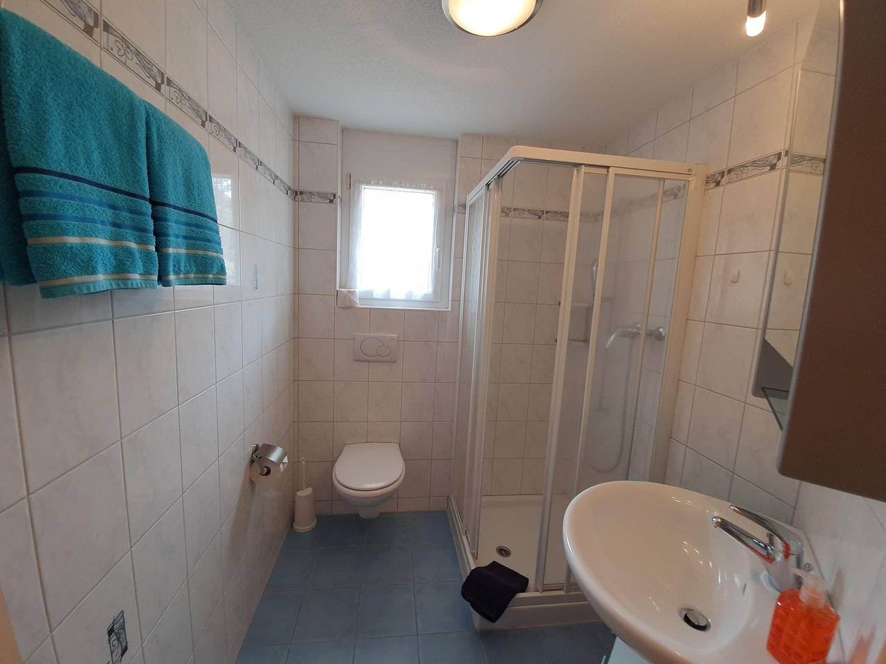 Ganze Ferienwohnung, 4-Bettwohnung Nr. 50 in Saas-Grund, Walliser Alpen
