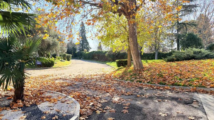 Hotel para 1 personas - 1