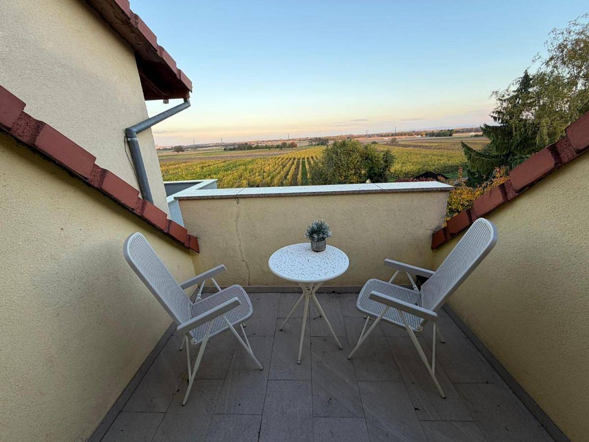 Appartement entier, Au coeur des vignes in Kintzheim, Région de Sélestat-Erstein
