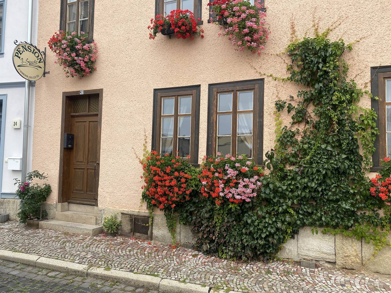 Ganze Ferienwohnung, Appartement - Ferienwohnung Specht - Ferienwohnung mit 1 Schlafz.,1 Wohnz. inkl. kleiner Küchenzeile,Du/Wc, 2 P.,45m² in Arnstadt (Thüringen), Arnstadt